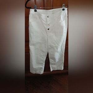 Chicos wide leg crop pants.